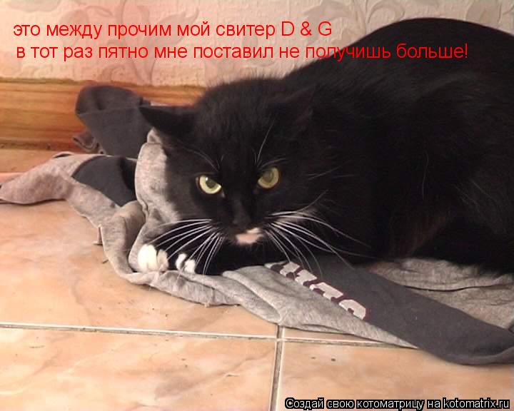 это между прочим мой свитер D & G в тот раз пятно мне поставил не получишь больше!... Котоматрица: это между прочим мой свитер D & G в тот раз пятно мне поставил не получишь больше!