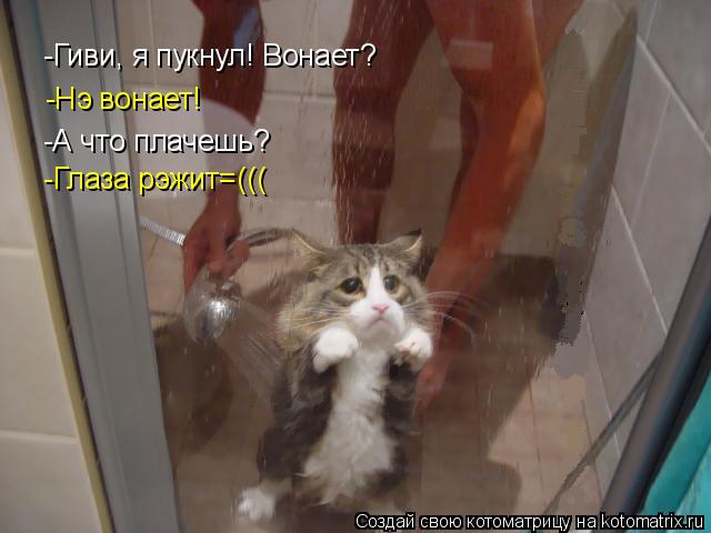 Котоматрица: -Гиви, я пукнул! Вонает? -Нэ вонает! -А что плачешь? -Глаза рэжит=(((