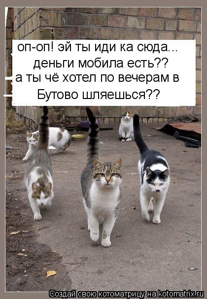 оп-оп! эй ты иди ка сюда... деньги мобила есть?? а ты чё хотел по вечерам в Бутово шляешься??... Котоматрица: оп-оп! эй ты иди ка сюда... деньги мобила есть?? а ты чё хотел по вечерам в Бутово шляешься??