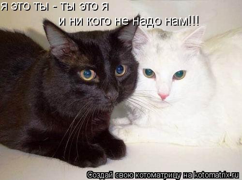 я это ты - ты это я и ни кого не надо нам!!!... Котоматрица: я это ты - ты это я и ни кого не надо нам!!!