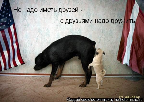 Не надо иметь друзей - с друзьями надо дружить.... Котоматрица: Не надо иметь друзей - с друзьями надо дружить.