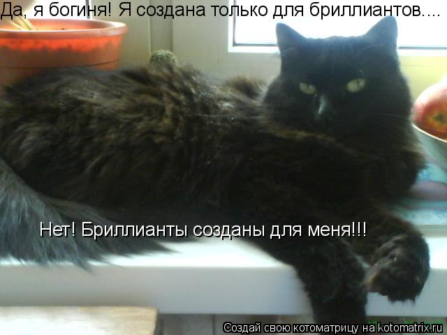 Котоматрица: Нет! Бриллианты созданы для меня!!! Да, я богиня! Я создана только для бриллиантов....