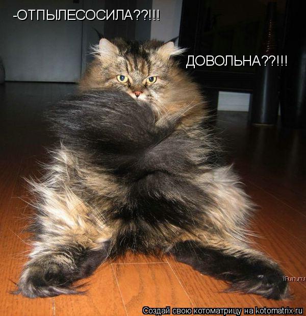 -ОТПЫЛЕСОСИЛА??!!! ДОВОЛЬНА??!!!... Котоматрица: -ОТПЫЛЕСОСИЛА??!!! ДОВОЛЬНА??!!!