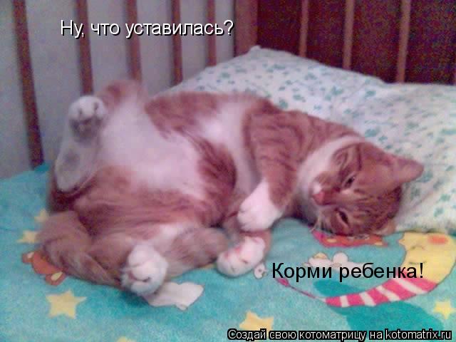 Ну, что уставилась? Корми ребенка!... Котоматрица: Ну, что уставилась? Корми ребенка!