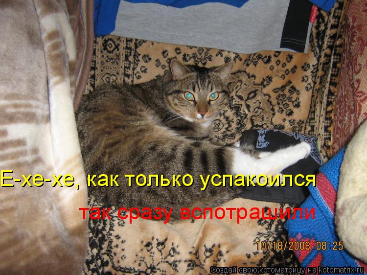 Е-хе-хе, как только успакоился так сразу вспотрашили... Котоматрица: Е-хе-хе, как только успакоился так сразу вспотрашили