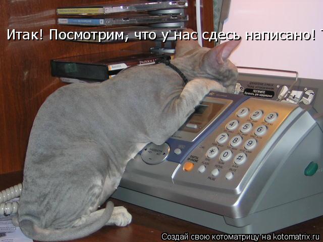 Итак! Посмотрим, что у нас сдесь написано! Так! Стоп! Где мои очки??... Котоматрица: Итак! Посмотрим, что у нас сдесь написано! Так! Стоп! Где мои очки??