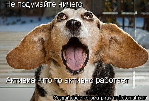 Не подумайте ничего Активиа -что то активно работает... Котоматрица: Не подумайте ничего Активиа -что то активно работает