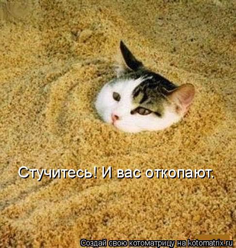 Стучитесь! И вас откопают.... Котоматрица: Стучитесь! И вас откопают.