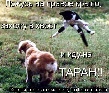 Ложусь на правое крыло, захожу в хвост и иду на ТАРАН!!... Котоматрица: Ложусь на правое крыло, захожу в хвост и иду на ТАРАН!!