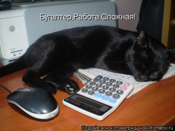 Бугалтер,Работа Сложная!... Котоматрица: Бугалтер,Работа Сложная!