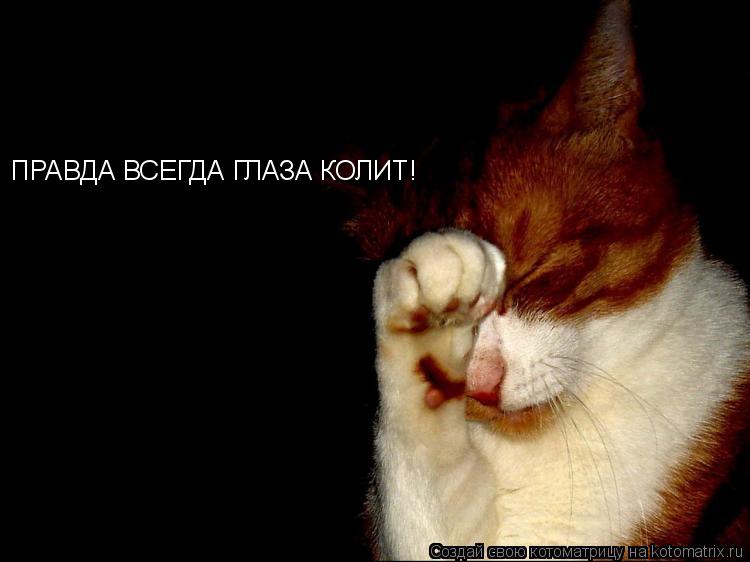 ПРАВДА ВСЕГДА ГЛАЗА КОЛИТ!... Котоматрица: ПРАВДА ВСЕГДА ГЛАЗА КОЛИТ!