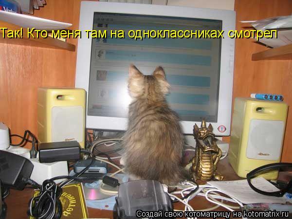 Так! Кто меня там на одноклассниках смотрел... Котоматрица: Так! Кто меня там на одноклассниках смотрел
