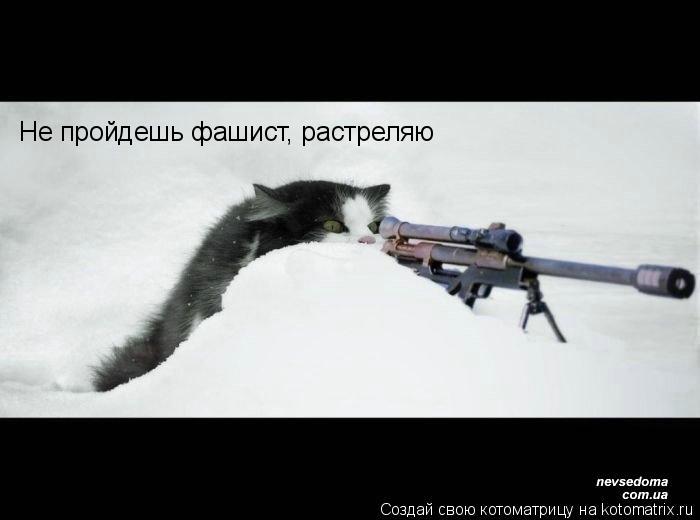 Не пройдешь фашист, растреляю... Котоматрица: Не пройдешь фашист, растреляю