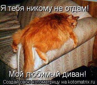 Я тебя никому не отдам! Мой любимый диван!... Котоматрица: Я тебя никому не отдам! Мой любимый диван!