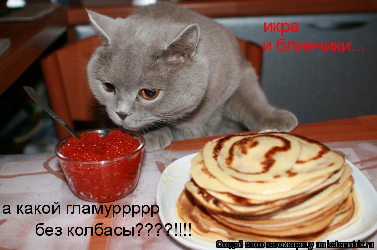 икра и блинчики... а какой гламуррррр без колбасы????!!!!... Котоматрица: икра и блинчики... а какой гламуррррр без колбасы????!!!!