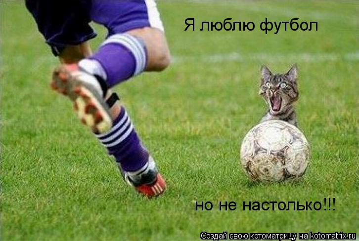 Я люблю футбол но не настолько!!!... Котоматрица: Я люблю футбол но не настолько!!!