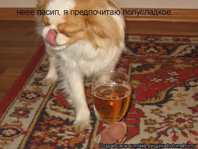 неее пасип, я предпочитаю полусладкое...... Котоматрица: неее пасип, я предпочитаю полусладкое...