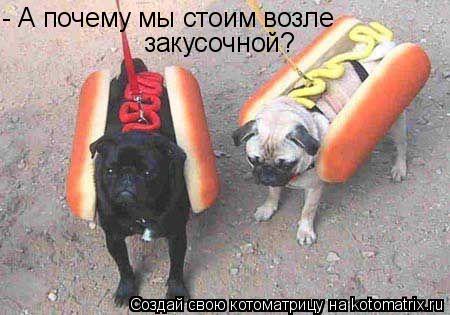 - А почему мы стоим возле закусочной?... Котоматрица: - А почему мы стоим возле закусочной?