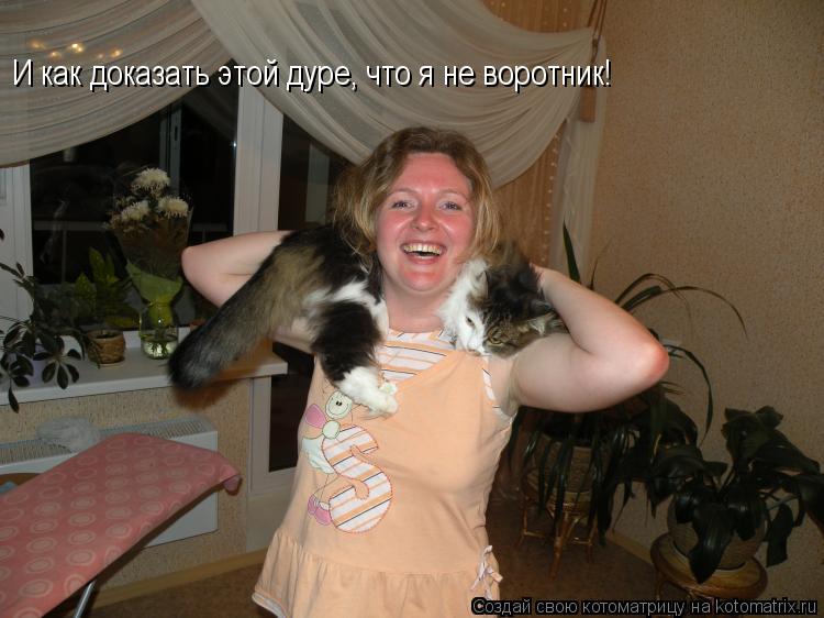 И как доказать этой дуре, что я не воротник!... Котоматрица: И как доказать этой дуре, что я не воротник!