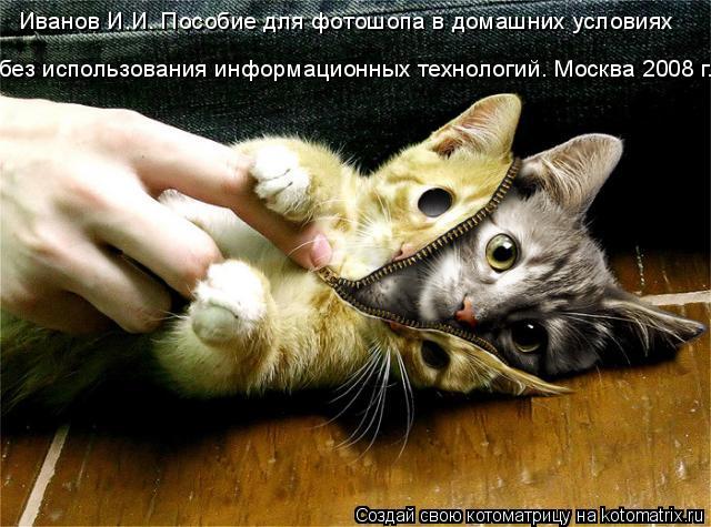Иванов И.И. Пособие для фотошопа в домашних условиях без использования информационных технологий. Мос... Котоматрица: Иванов И.И. Пособие для фотошопа в домашних условиях без использования информационных технологий. Москва 2008 г.