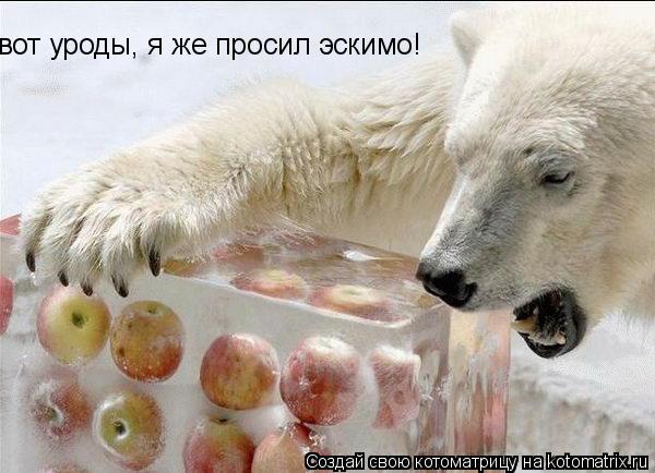 вот уроды, я же просил эскимо!... Котоматрица: вот уроды, я же просил эскимо!