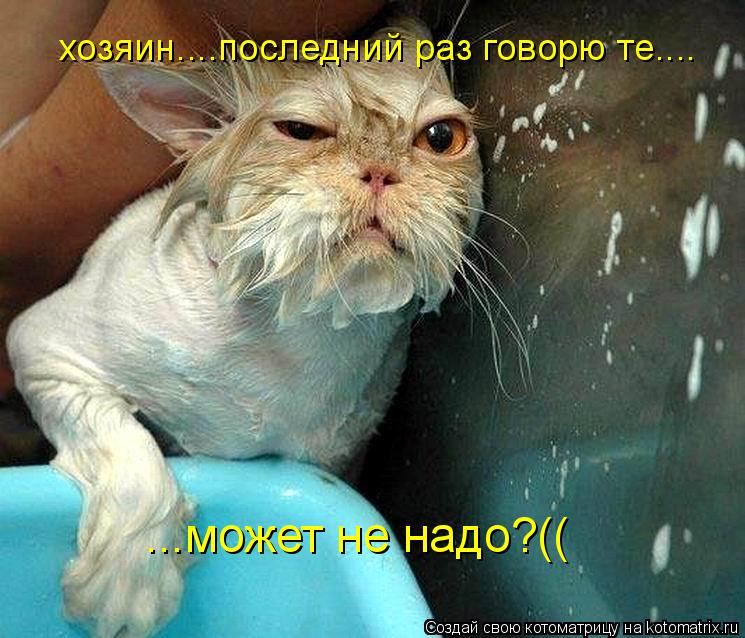 хозяин....последний раз говорю те.... ...может не надо?((... Котоматрица: хозяин....последний раз говорю те.... ...может не надо?((