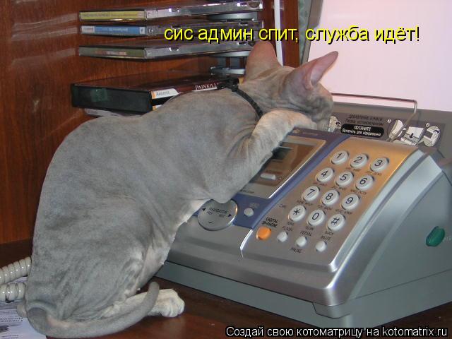Котоматрица: сис админ спит, служба идёт!