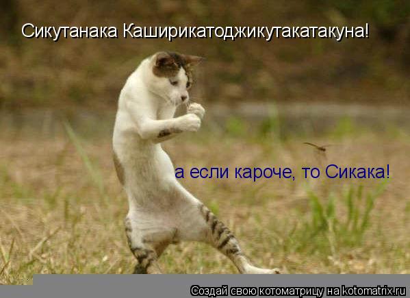Сикутанака Каширикатоджикутакатакуна! а если кароче, то Сикака!... Котоматрица: Сикутанака Каширикатоджикутакатакуна! а если кароче, то Сикака!