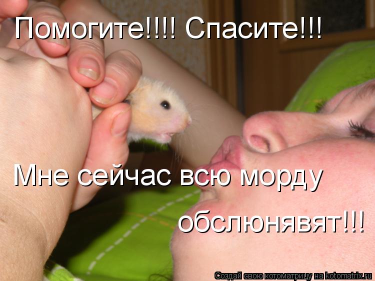 Помогите!!!! Спасите!!! Мне сейчас всю морду обслюнявят!!!... Котоматрица: Помогите!!!! Спасите!!! Мне сейчас всю морду обслюнявят!!!