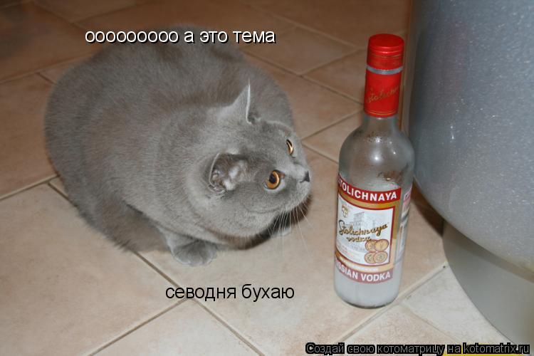ооооооооо а это тема севодня бухаю... Котоматрица: ооооооооо а это тема севодня бухаю