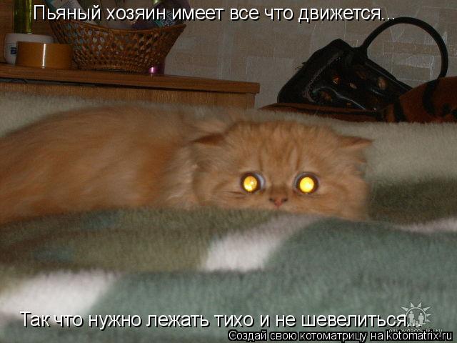 Пьяный хозяин имеет все что движется... Так что нужно лежать тихо и не шевелиться...... Котоматрица: Пьяный хозяин имеет все что движется... Так что нужно лежать тихо и не шевелиться...