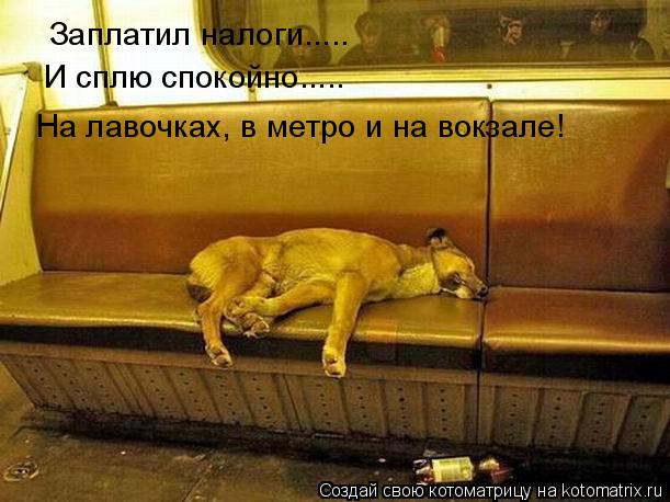 Заплатил налоги..... И сплю спокойно..... На лавочках, в метро и на вокзале!... Котоматрица: Заплатил налоги..... И сплю спокойно..... На лавочках, в метро и на вокзале!