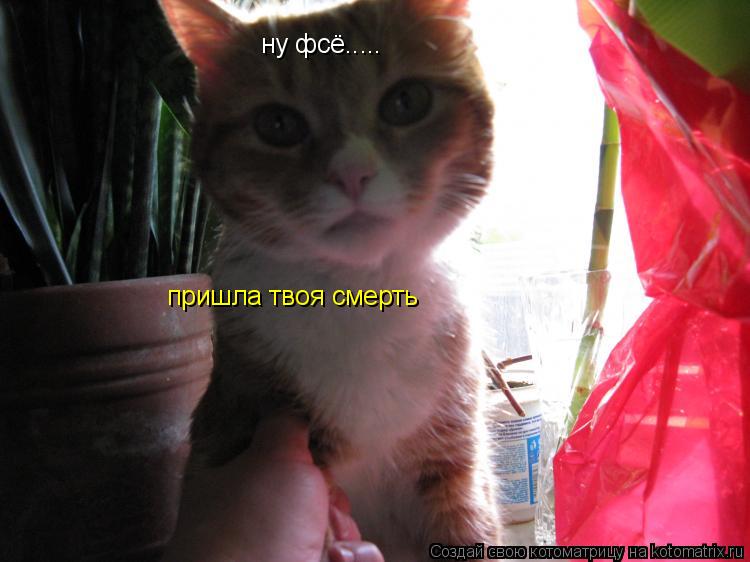 ну фсё..... пришла твоя смерть... Котоматрица: ну фсё..... пришла твоя смерть
