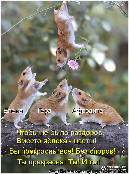 Чтобы не было раздоров, Вместо яблока - цветы! Вы прекрасны все! Без споров! Ты прекрасна! Ты! И ты! ... Котоматрица: Чтобы не было раздоров, Вместо яблока - цветы! Вы прекрасны все! Без споров! Ты прекрасна! Ты! И ты! Елена Гера Афродита