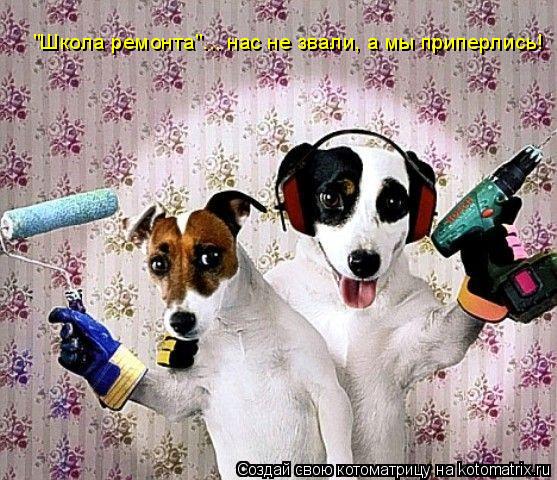 "Школа ремонта"... нас не звали, а мы приперлись!... Котоматрица: "Школа ремонта"... нас не звали, а мы приперлись!