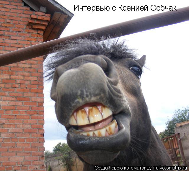 Интервью с Ксенией Собчак... Котоматрица: Интервью с Ксенией Собчак