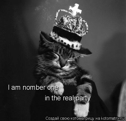 I am nomber one in the real party... Котоматрица: I am nomber one in the real party