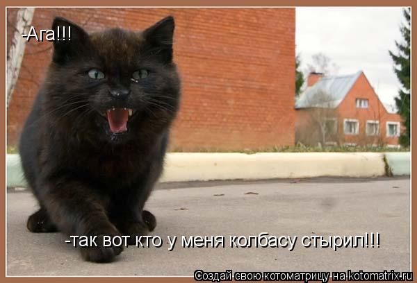 -Ага!!! -так вот кто у меня колбасу стырил!!!... Котоматрица: -Ага!!! -так вот кто у меня колбасу стырил!!!