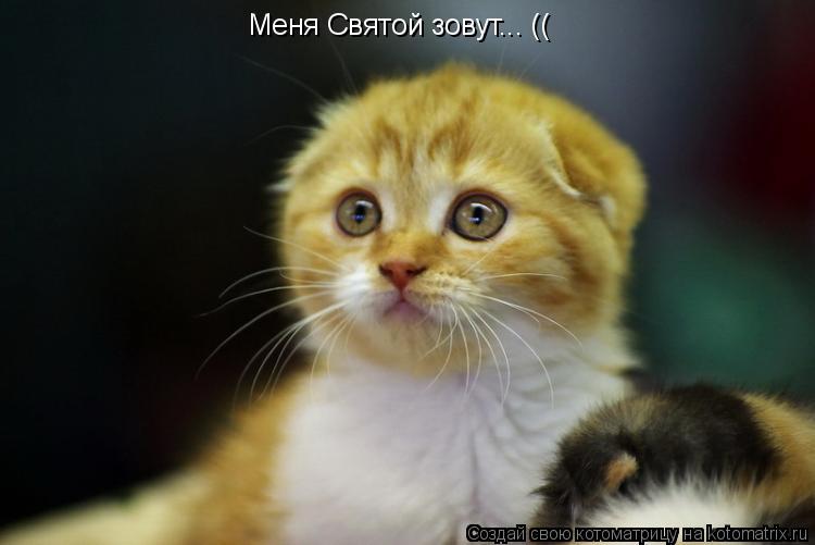 Меня Святой зовут... ((... Котоматрица: Меня Святой зовут... ((