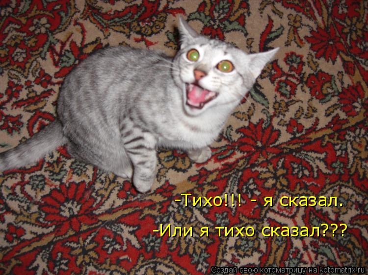 -Или я тихо сказал??? -Тихо!!! - я сказал.... Котоматрица: -Или я тихо сказал??? -Тихо!!! - я сказал.