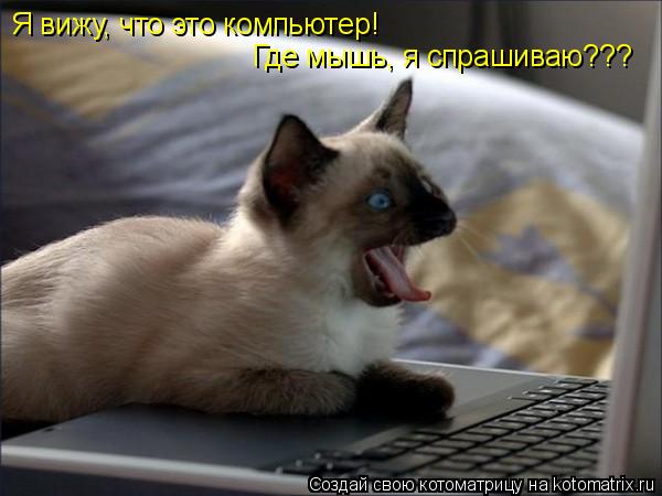 Я вижу, что это компьютер! Где мышь, я спрашиваю???... Котоматрица: Я вижу, что это компьютер! Где мышь, я спрашиваю???