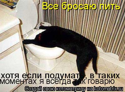 Все бросаю пить хотя если подумать, в таких моментах я всегда так говарю... Котоматрица: Все бросаю пить хотя если подумать, в таких моментах я всегда так говарю