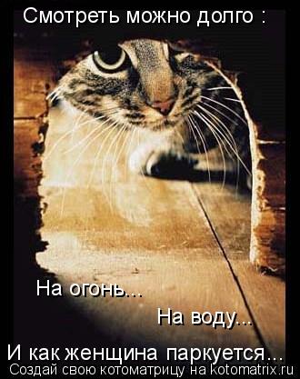 Смотреть можно долго : И как женщина паркуется... На воду... На огонь...... Котоматрица: Смотреть можно долго : И как женщина паркуется... На воду... На огонь...