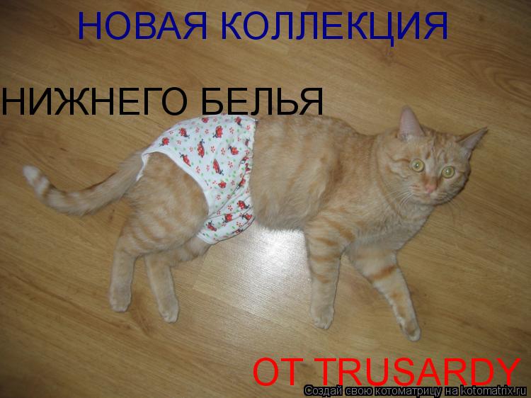 НОВАЯ КОЛЛЕКЦИЯ НИЖНЕГО БЕЛЬЯ ОТ TRUSARDY... Котоматрица: НОВАЯ КОЛЛЕКЦИЯ НИЖНЕГО БЕЛЬЯ ОТ TRUSARDY