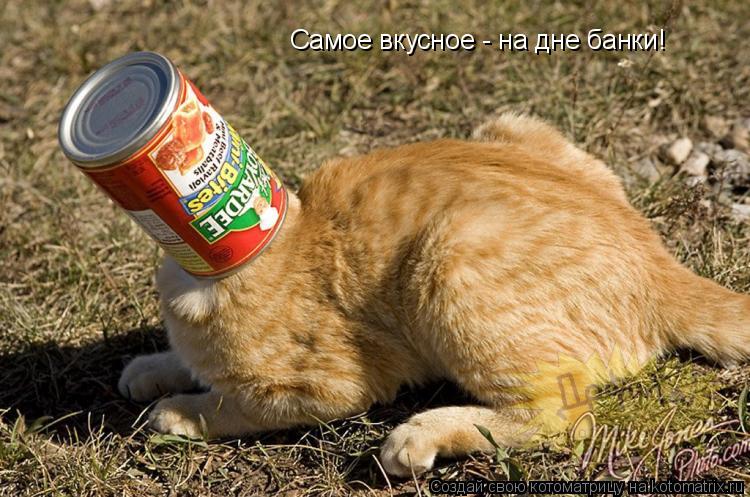 Самое вкусное - на дне банки!... Котоматрица: Самое вкусное - на дне банки!