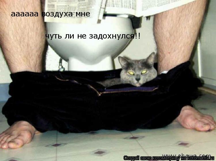 аааааа воздуха мне чуть ли не задохнулся!!... Котоматрица: аааааа воздуха мне чуть ли не задохнулся!!