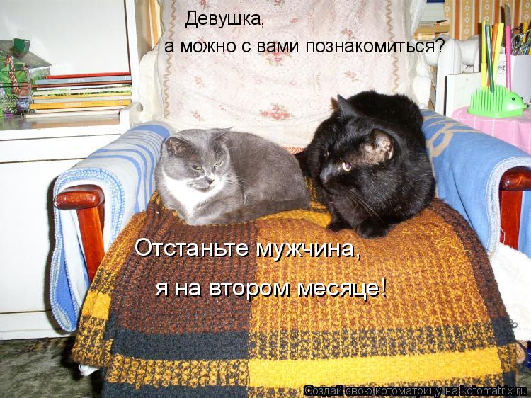 Отстаньте мужчина, я на втором месяце! Девушка, а можно с вами познакомиться?... Котоматрица: Отстаньте мужчина, я на втором месяце! Девушка, а можно с вами познакомиться?