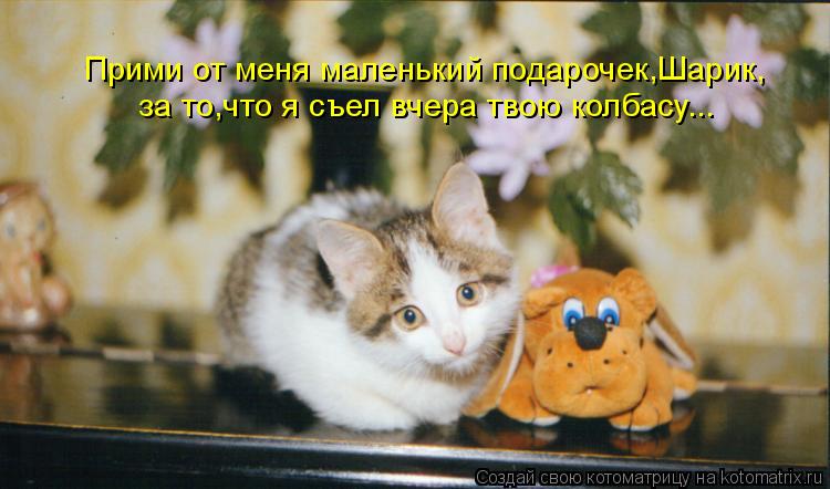 Прими от меня маленький подарочек,Шарик, за то,что я съел вчера твою колбасу...... Котоматрица: Прими от меня маленький подарочек,Шарик, за то,что я съел вчера твою колбасу...