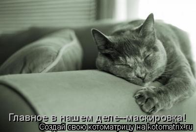 Главное в нашем деле--маскировка!... Котоматрица: Главное в нашем деле--маскировка!