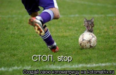 СТОП, stop... Котоматрица: СТОП, stop